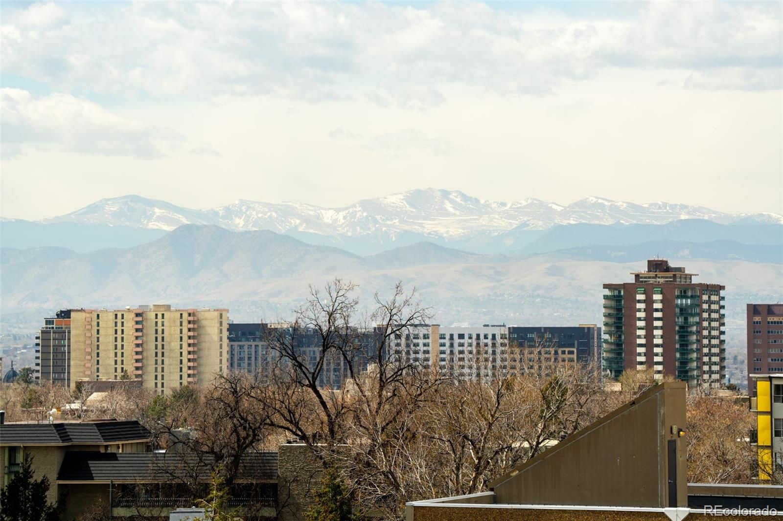 1313 N Williams Street 801