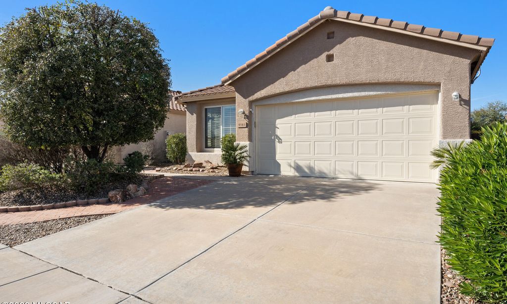 Continental Ranch Sunflower