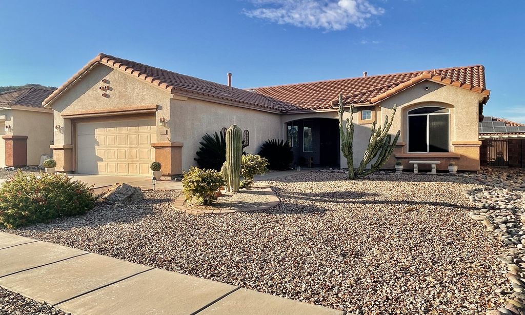 Continental Ranch Sunflower