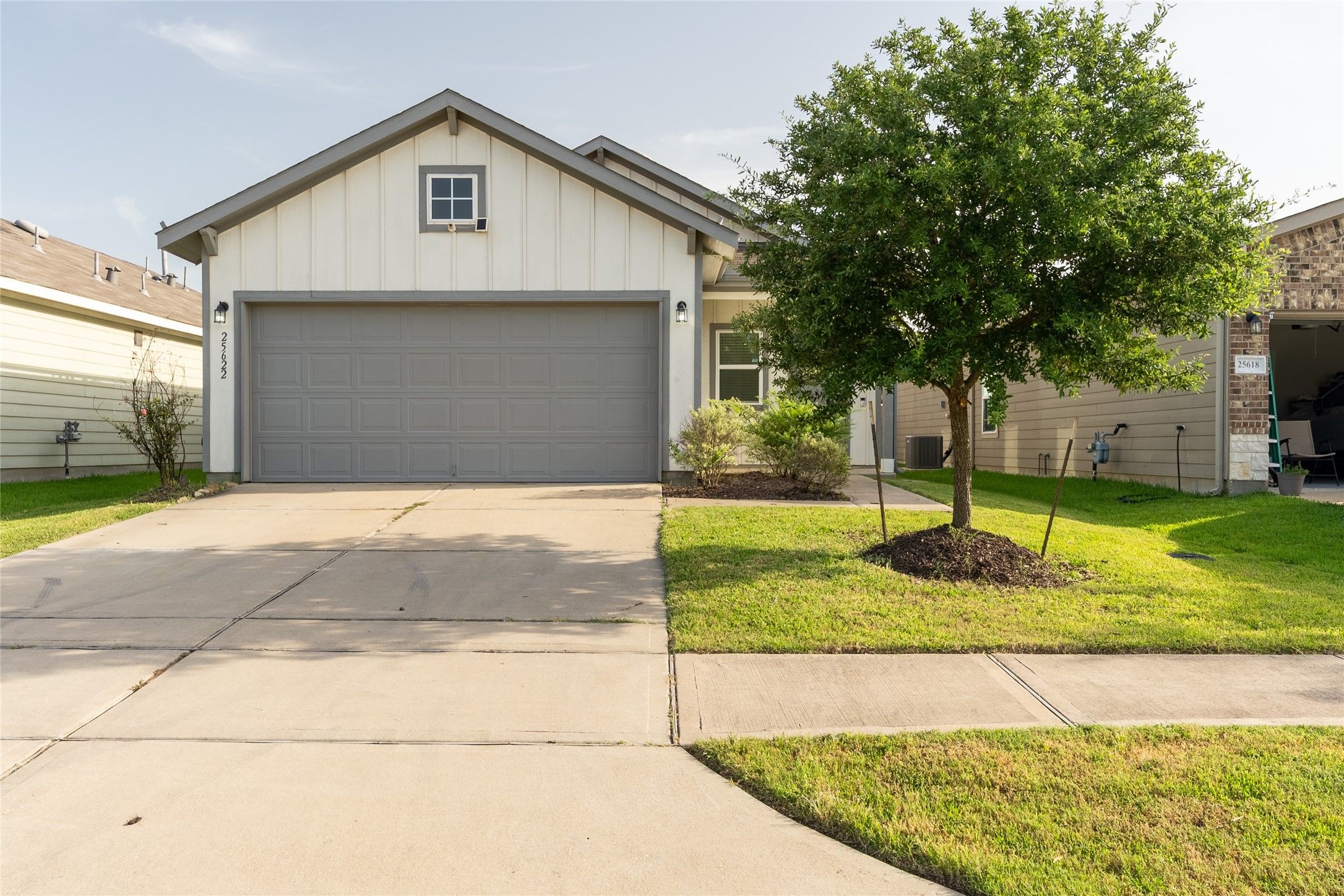 25622 Royal Catchfly Road