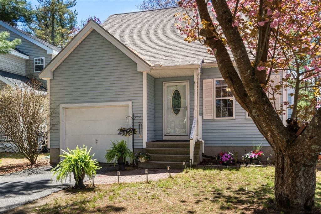 12 Magnolia Lane 12