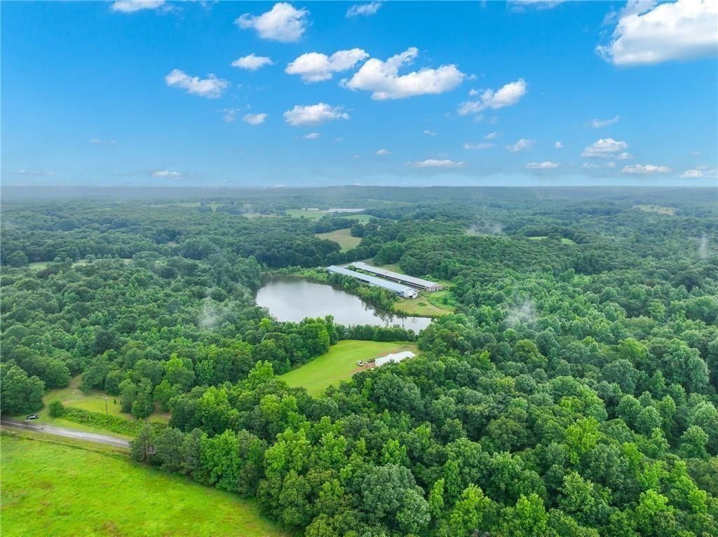 397 Reed Brawner Road