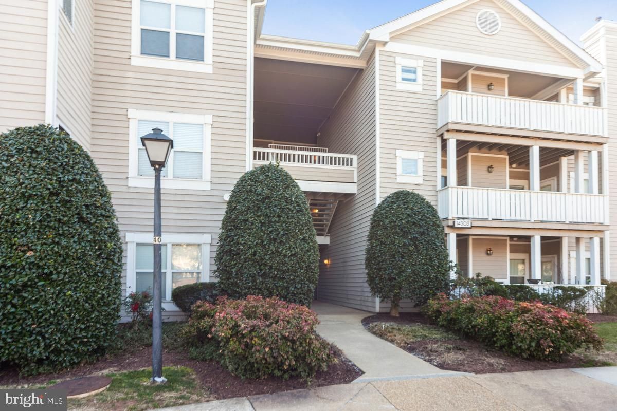 14303 Grape Holly Grove 22