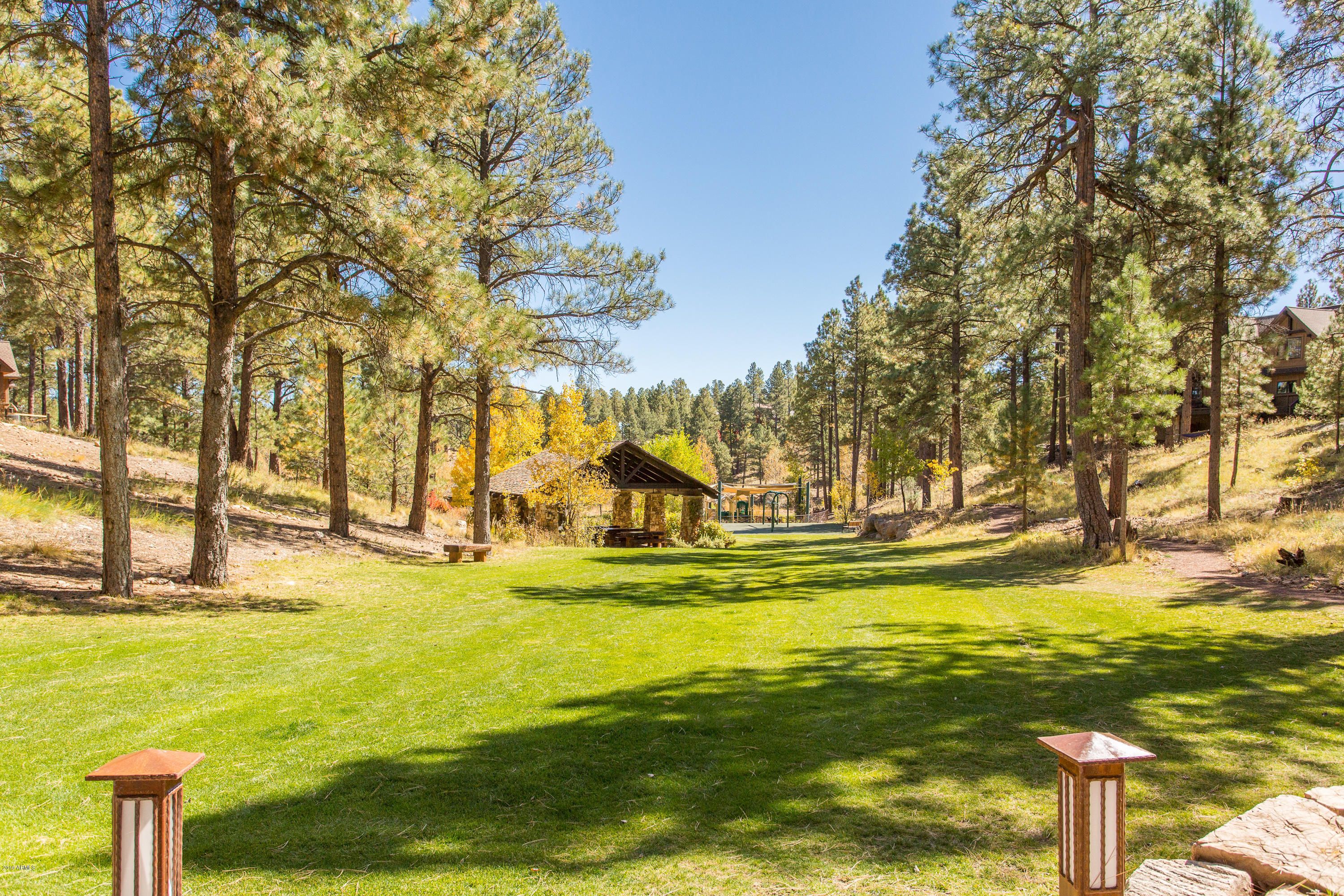 1442 E Castle Hills Drive Flagstaff, Arizona