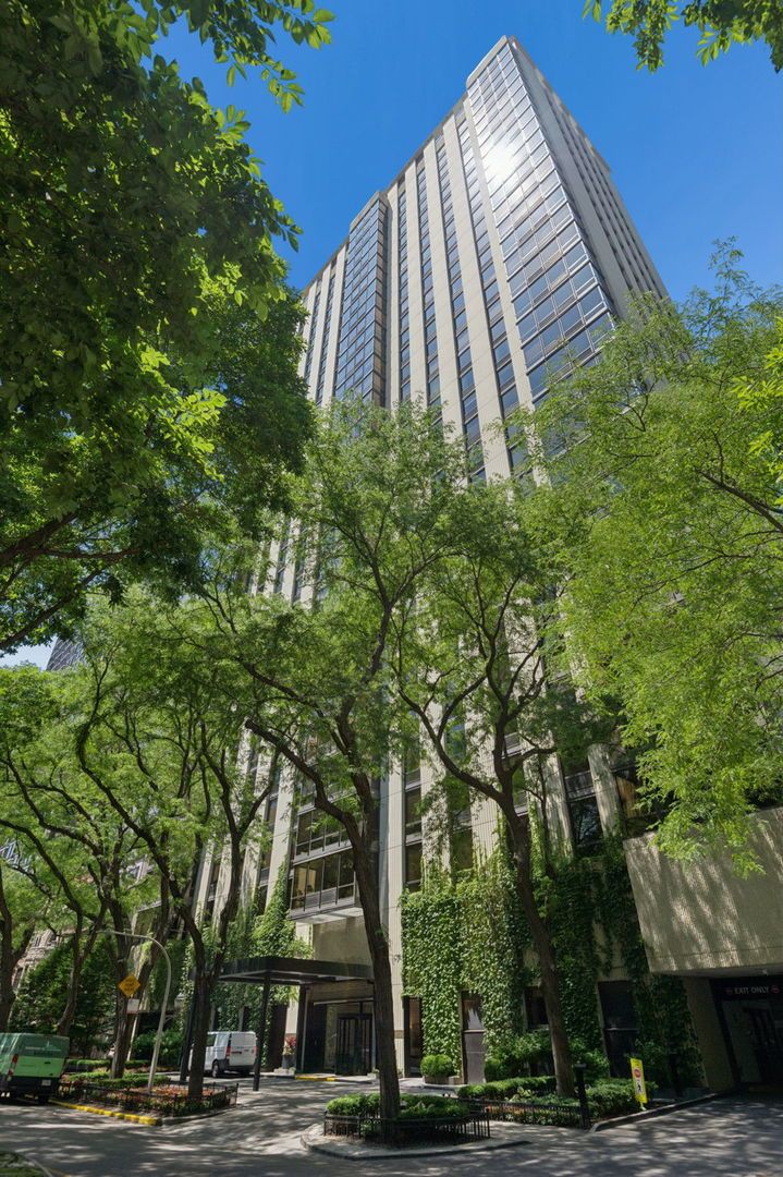 100 E Bellevue Place 24A