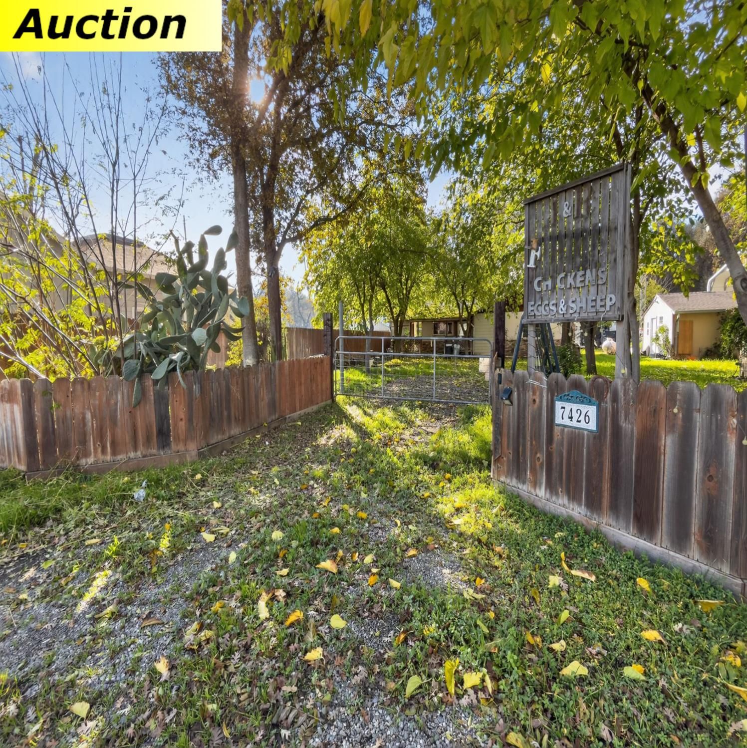 7426 State Highway 16