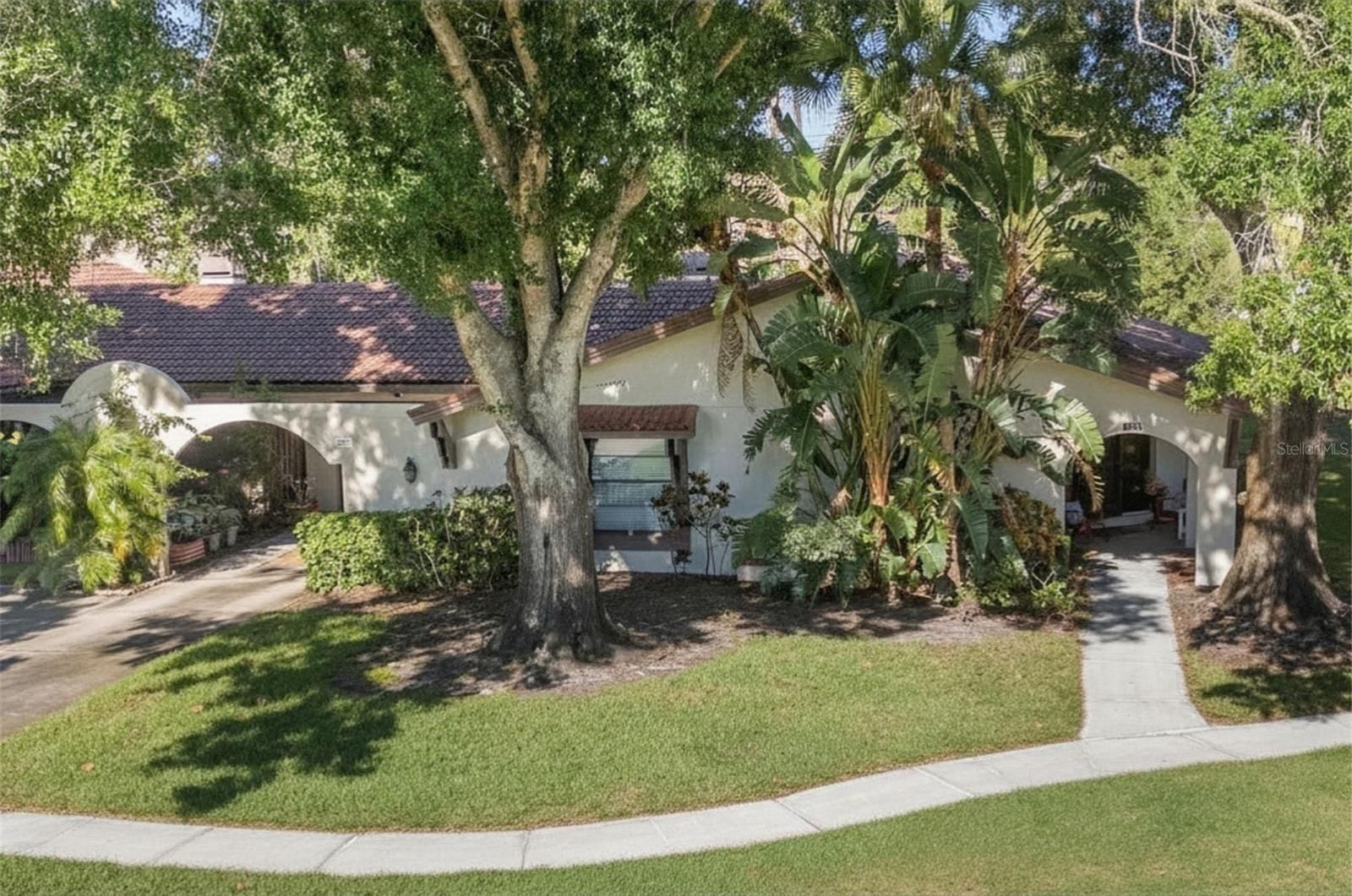 3446 Tarpon Woods Boulevard