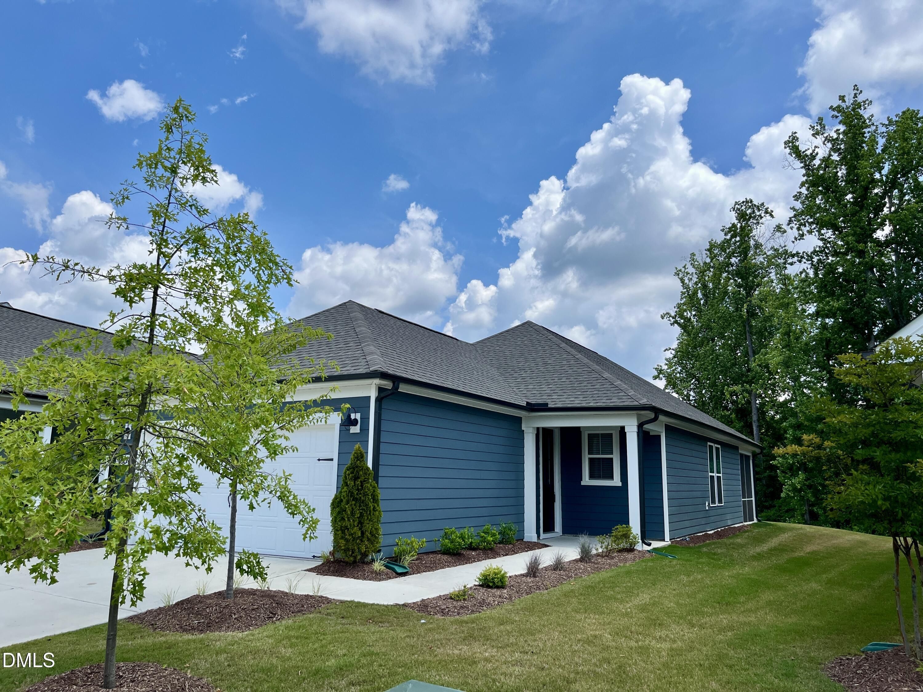 1609 American Beech Street