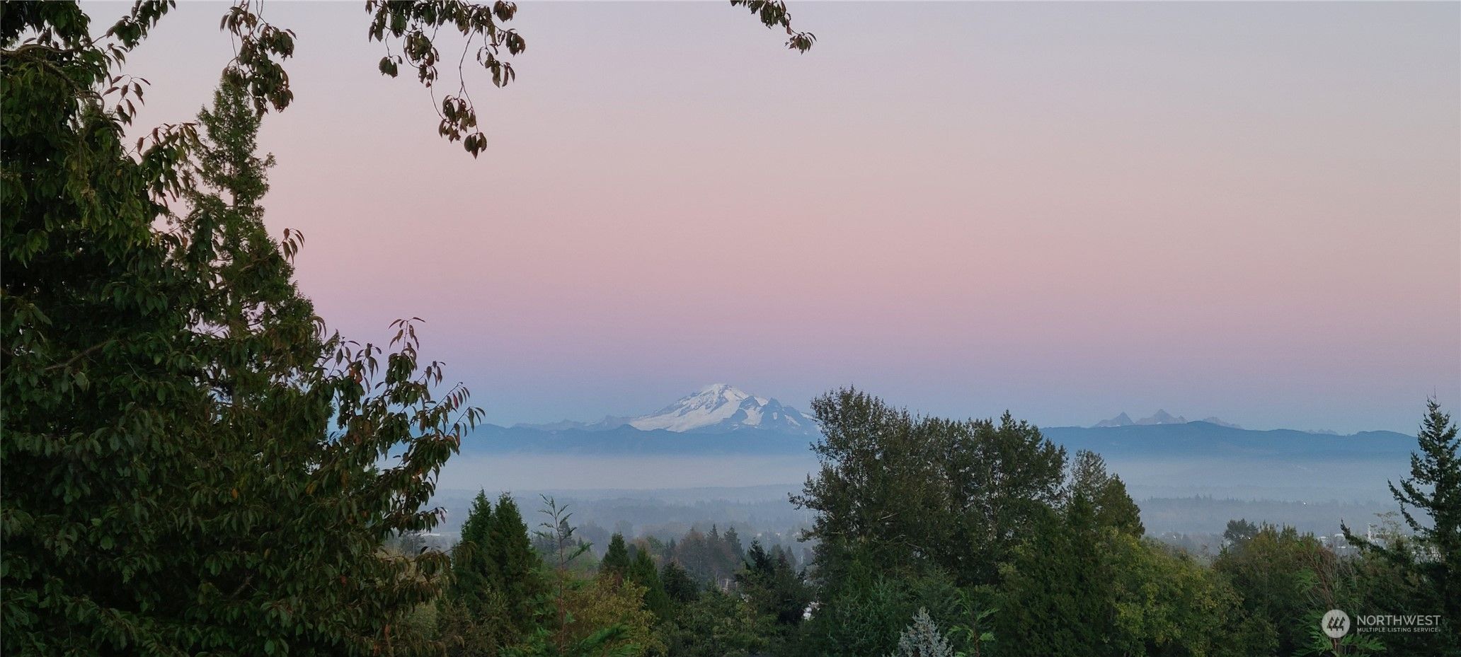 2426 Crestline Street