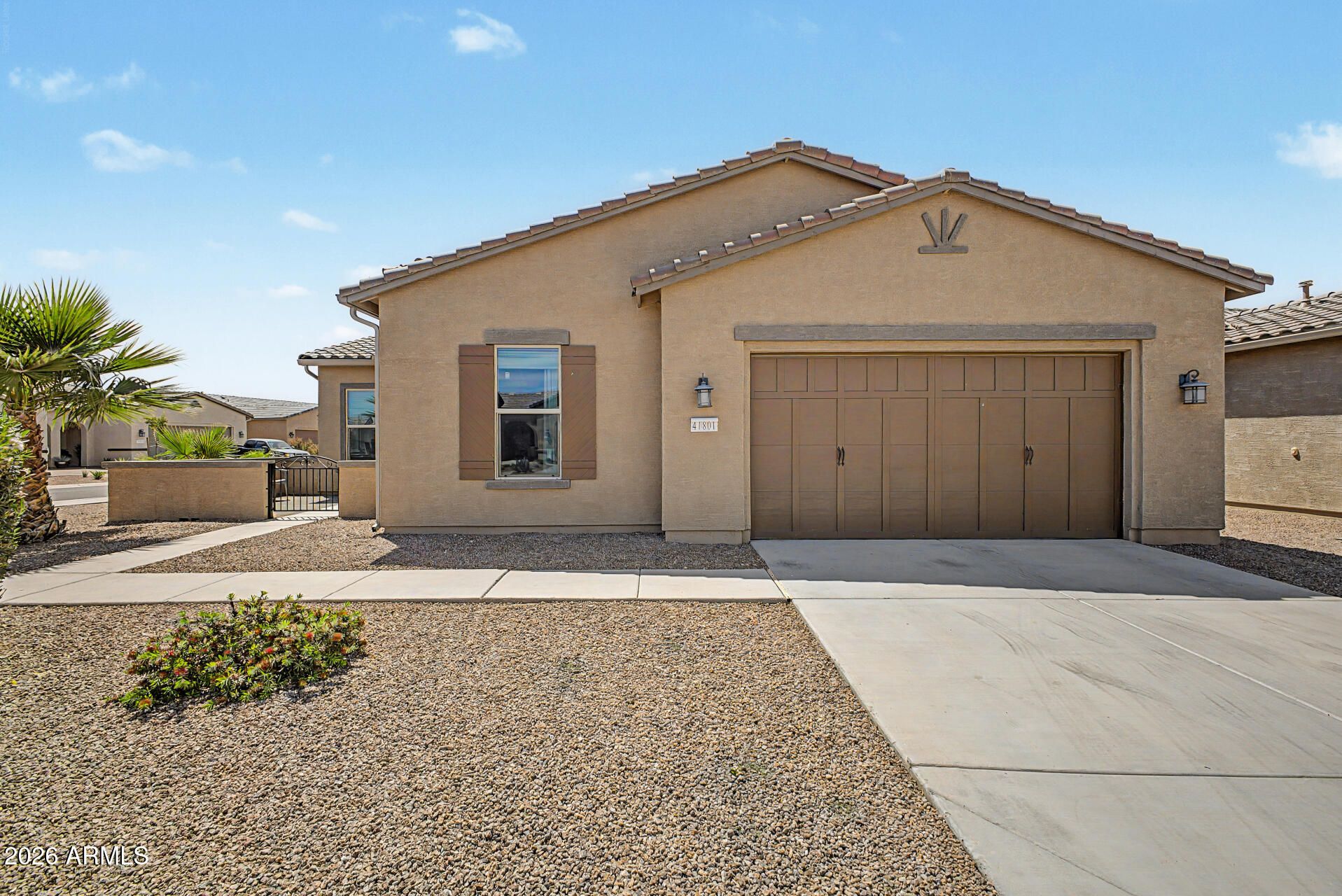 41801 W Cactus Flower --