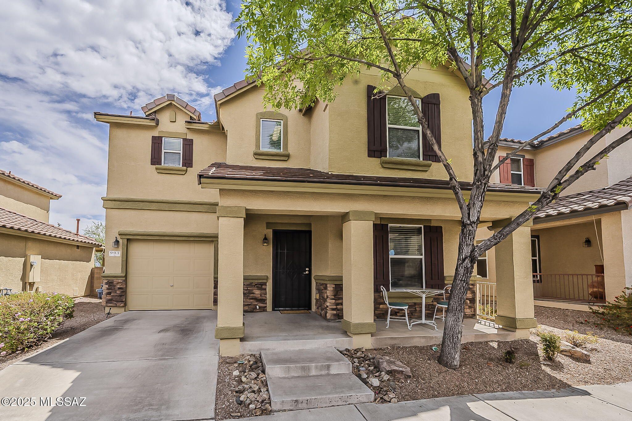 993 S Pantano Overlook Drive
