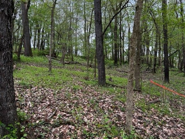 Lot 216 Thompsonville Road