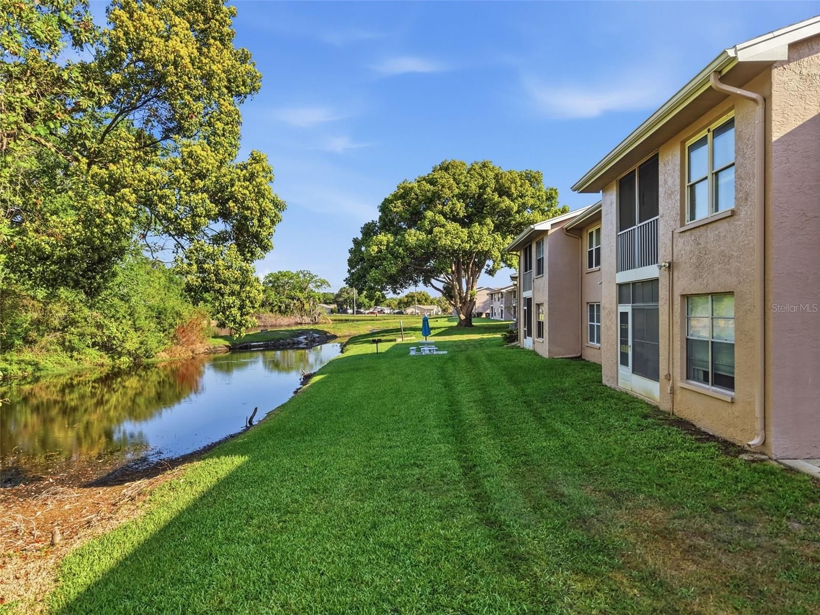 4833 Myrtle Oak Drive 12