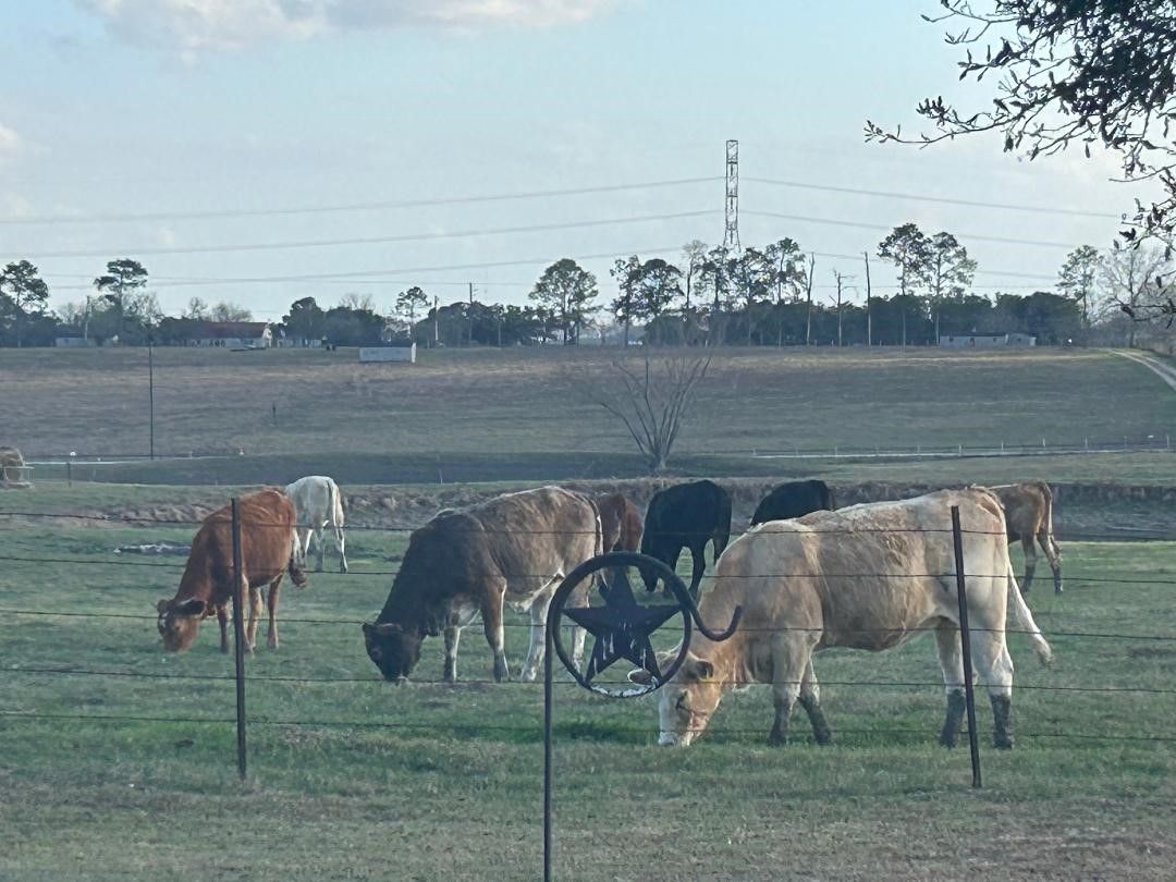 1100 Swiss Alp Hills Loop