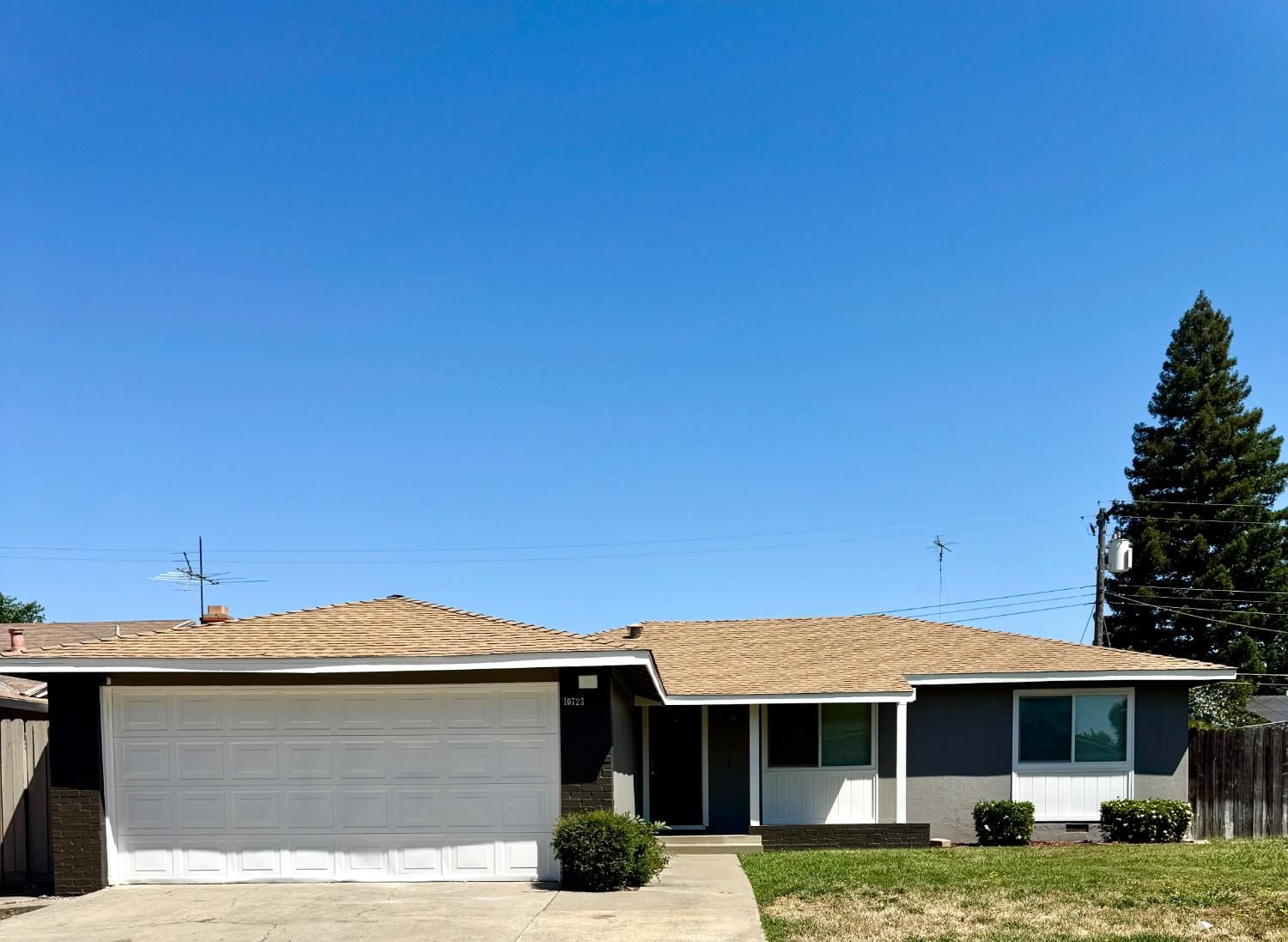 10723 Campana