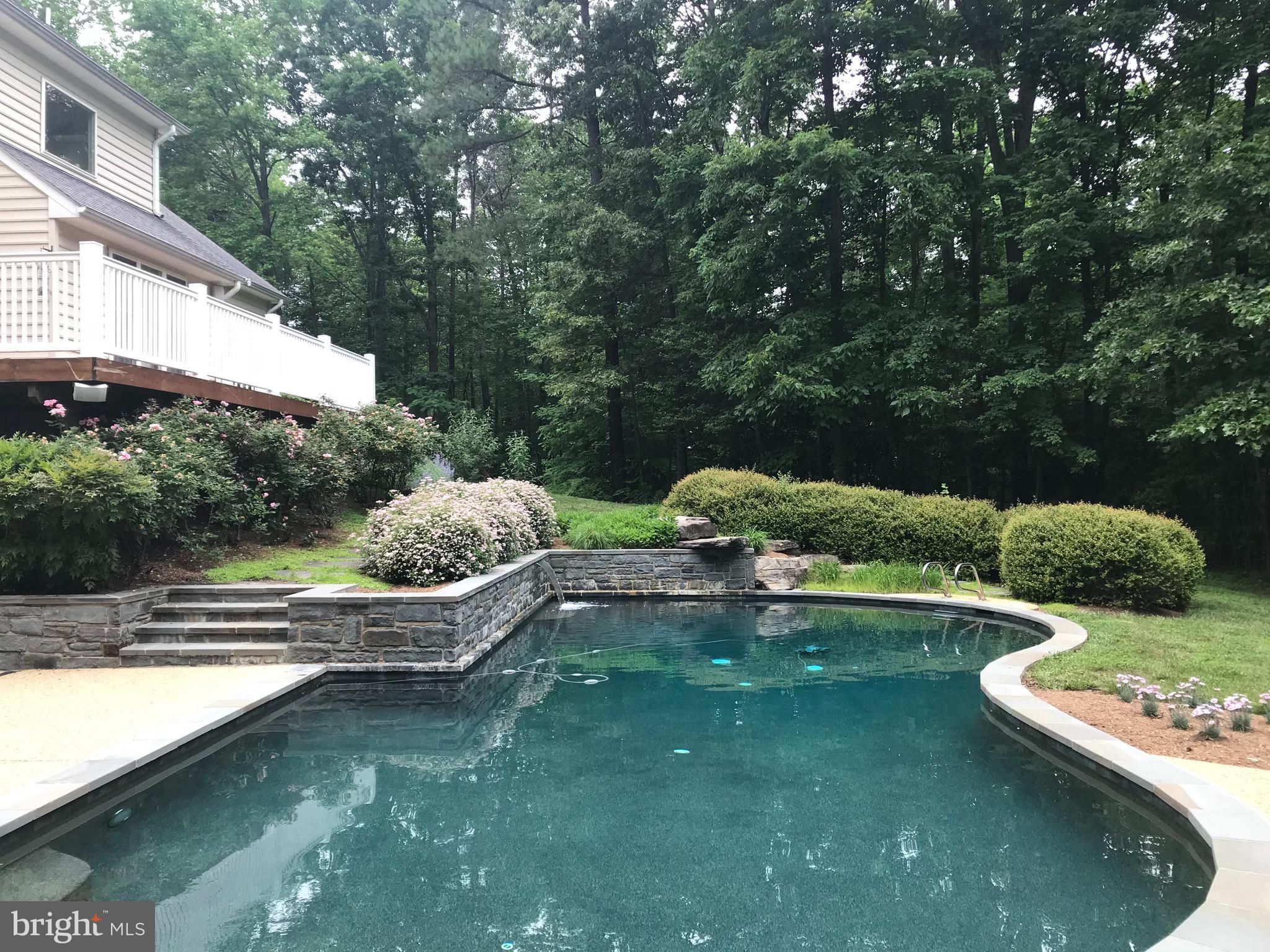 1000 Solomon Frazier