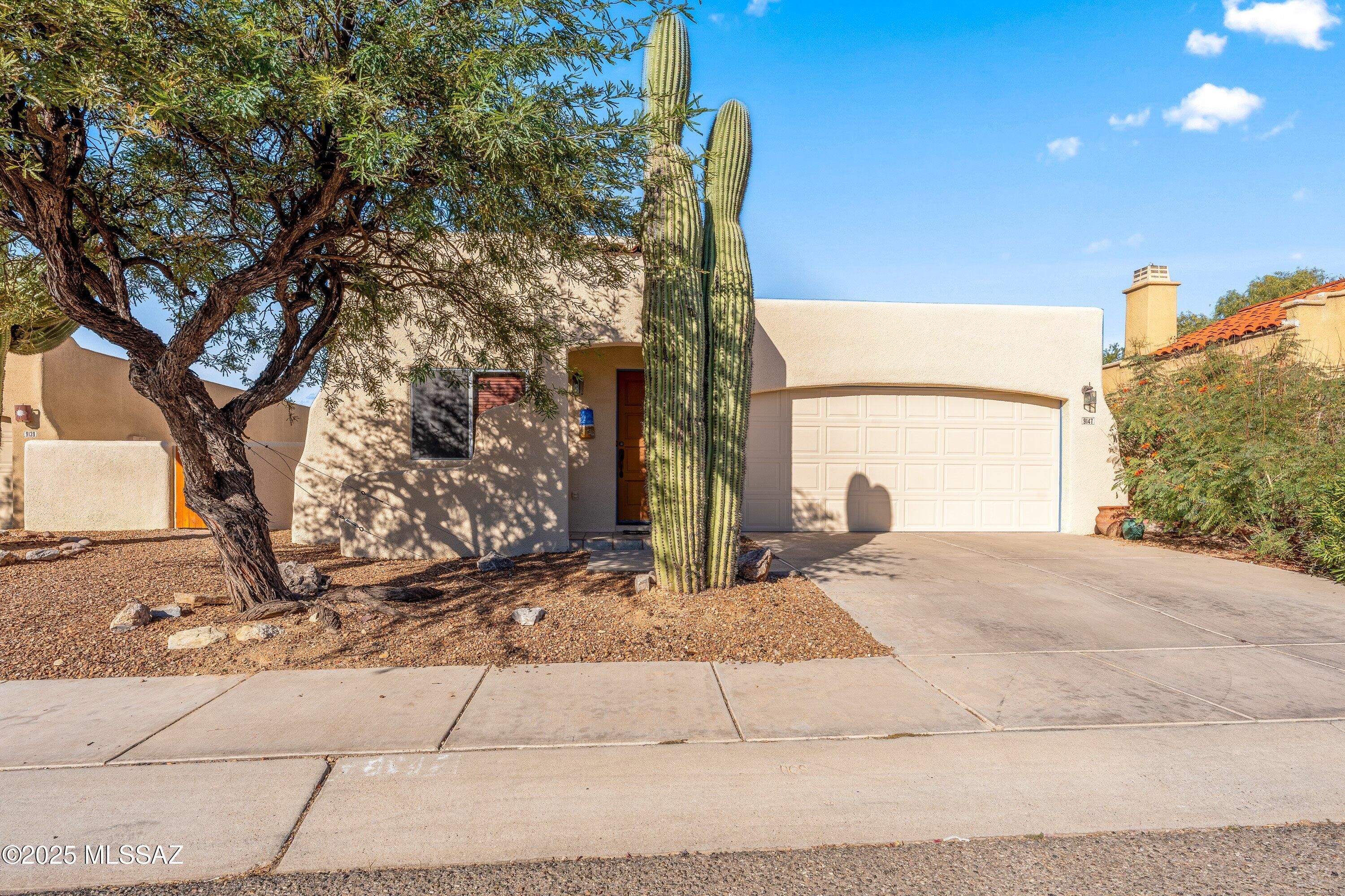 9147 N Ironwood Meadows Drive