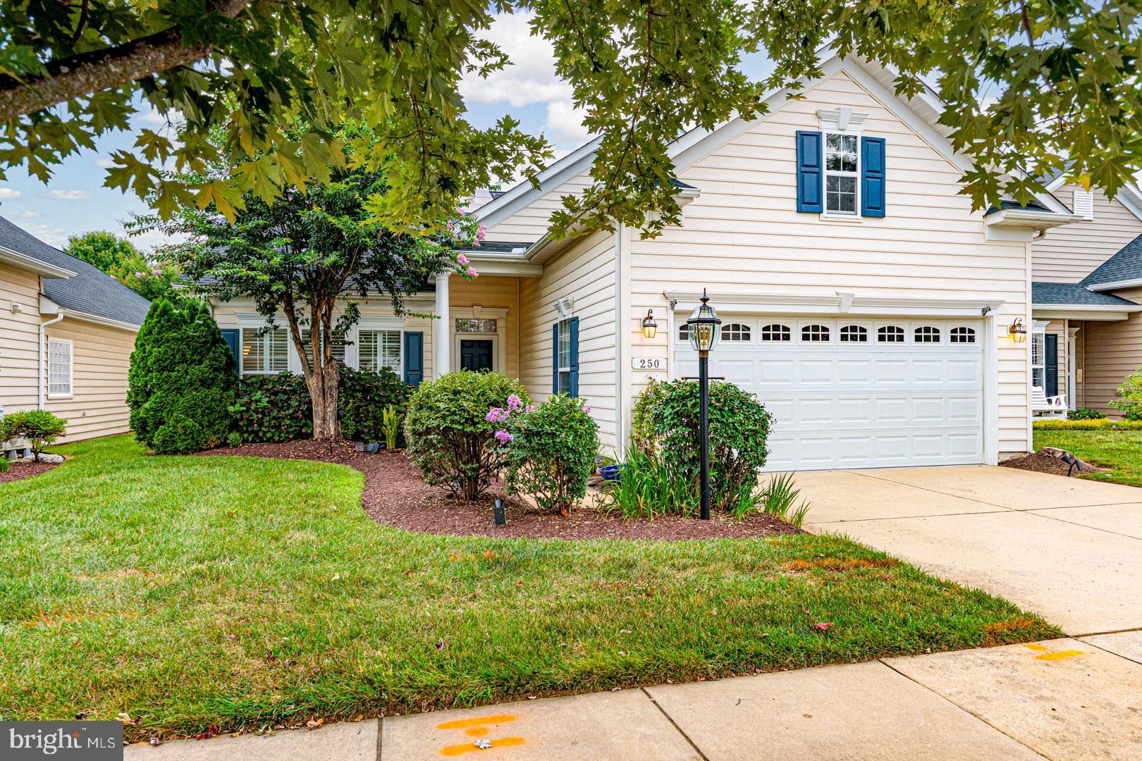 250 Concerto Avenue