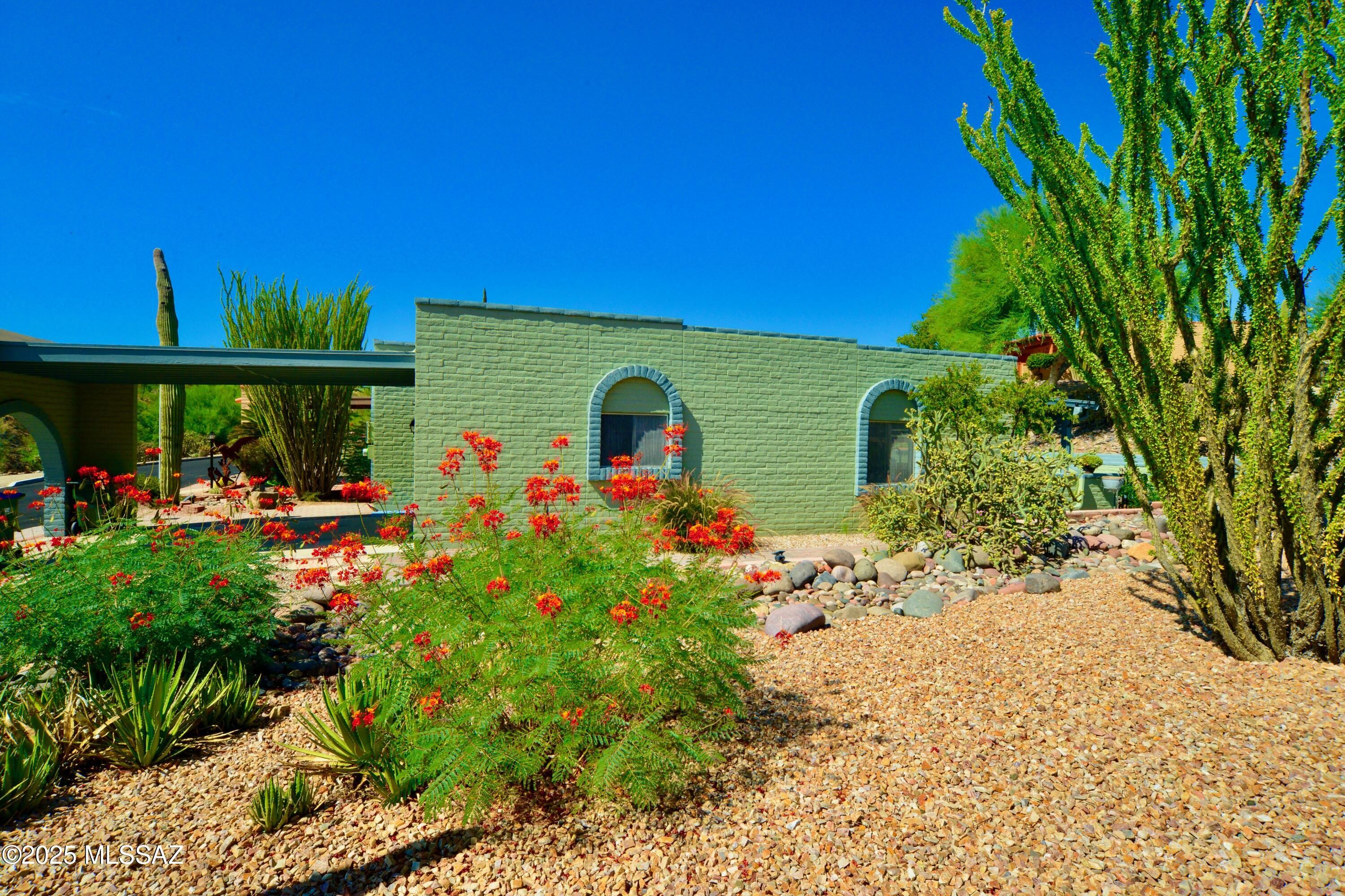 1360 W Camino Alicante