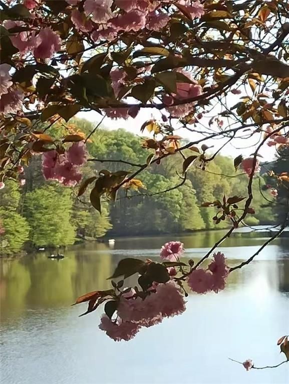 2382 Merrymount Drive