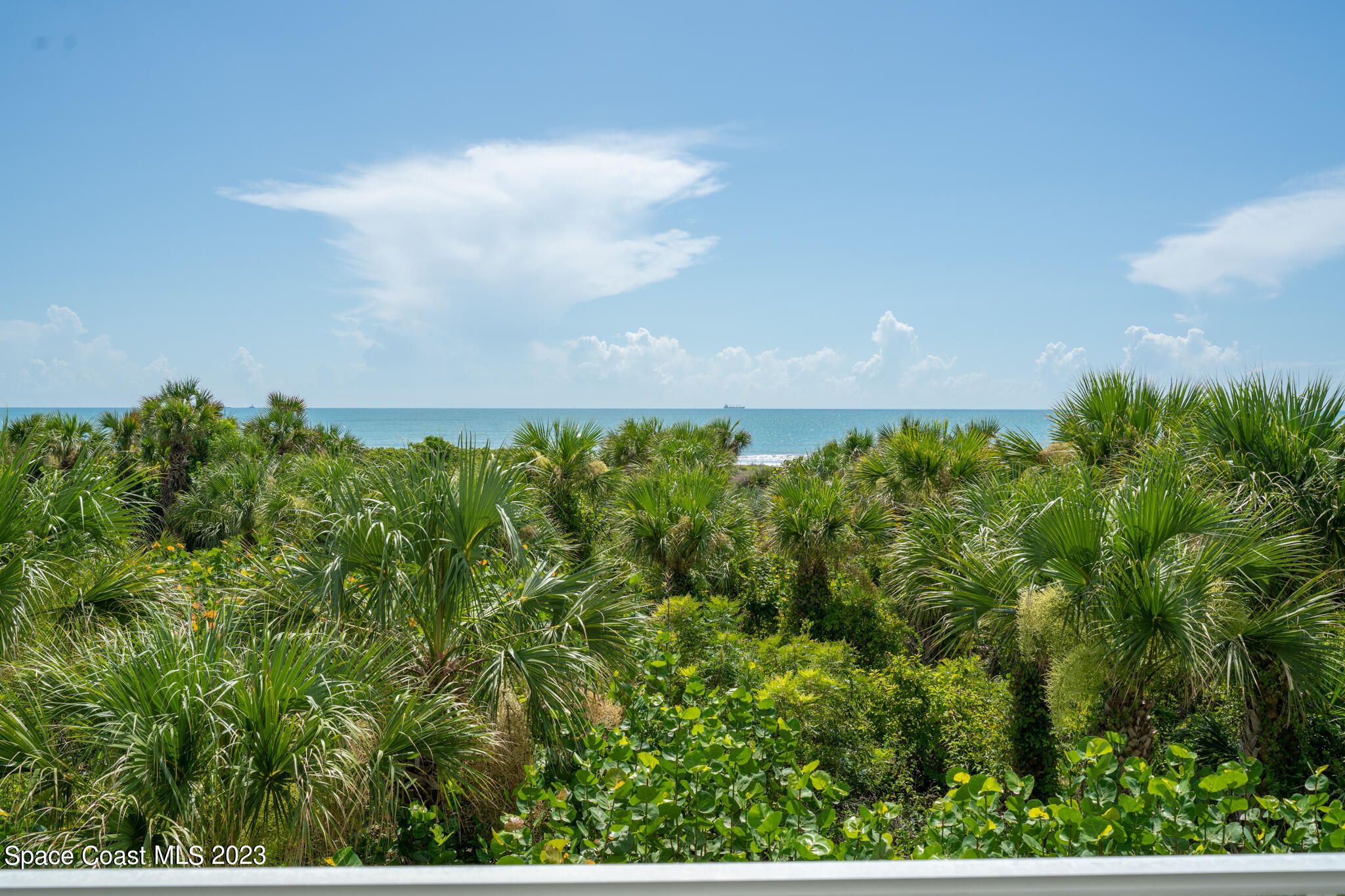 3450 Ocean Beach Boulevard 205