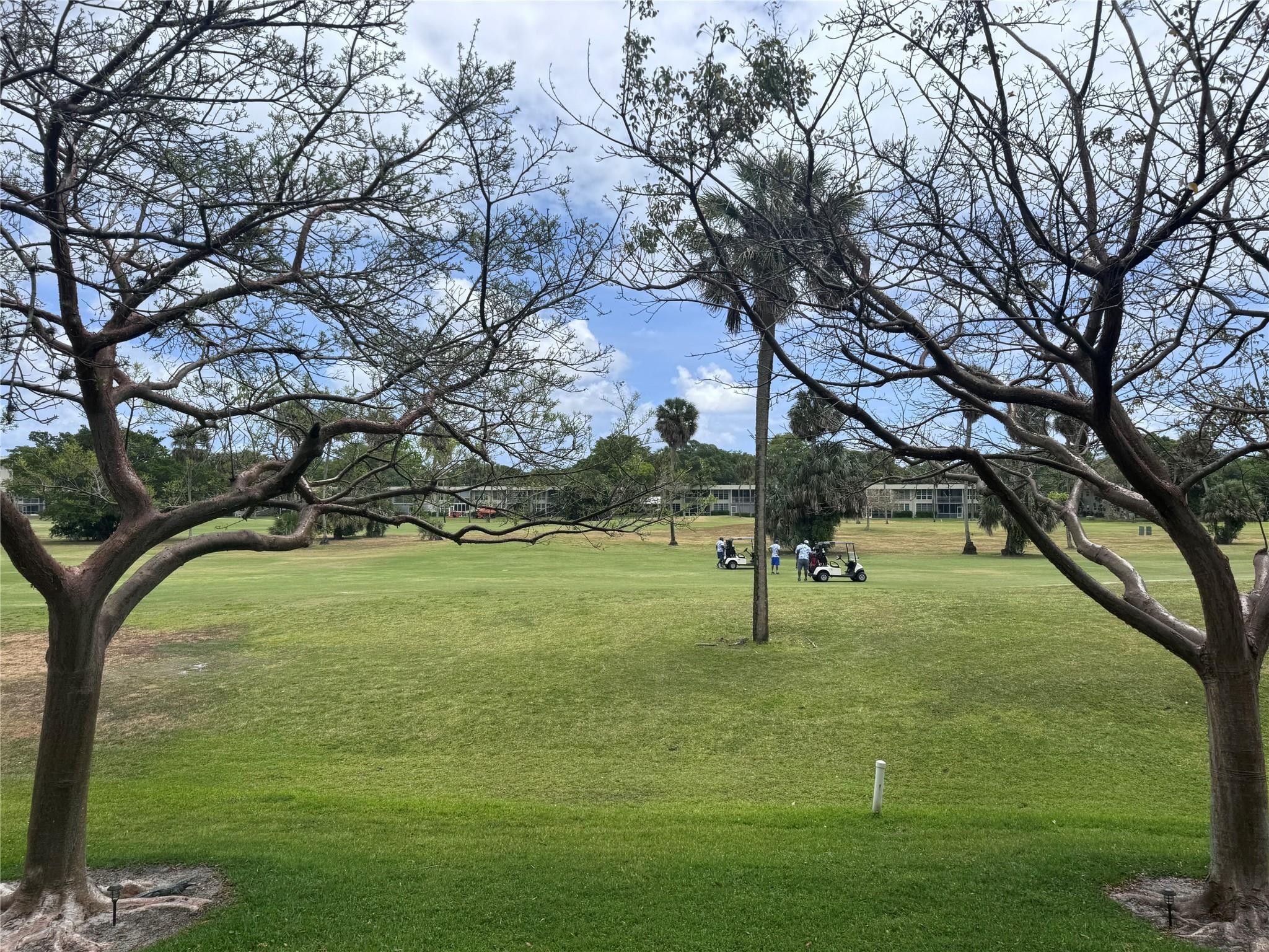 804 Cypress Grove Lane 209