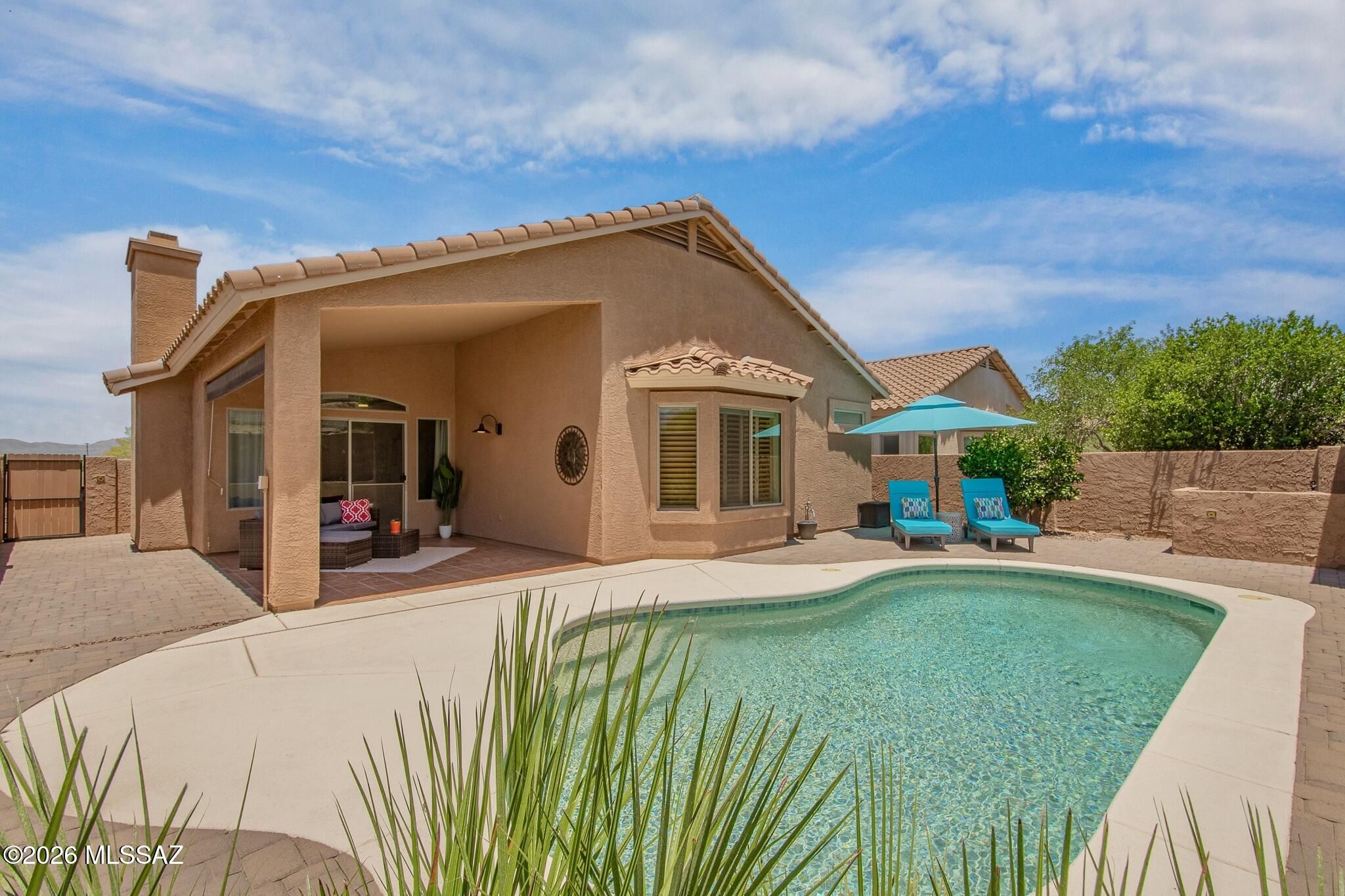 39687 S Buena Vista Drive