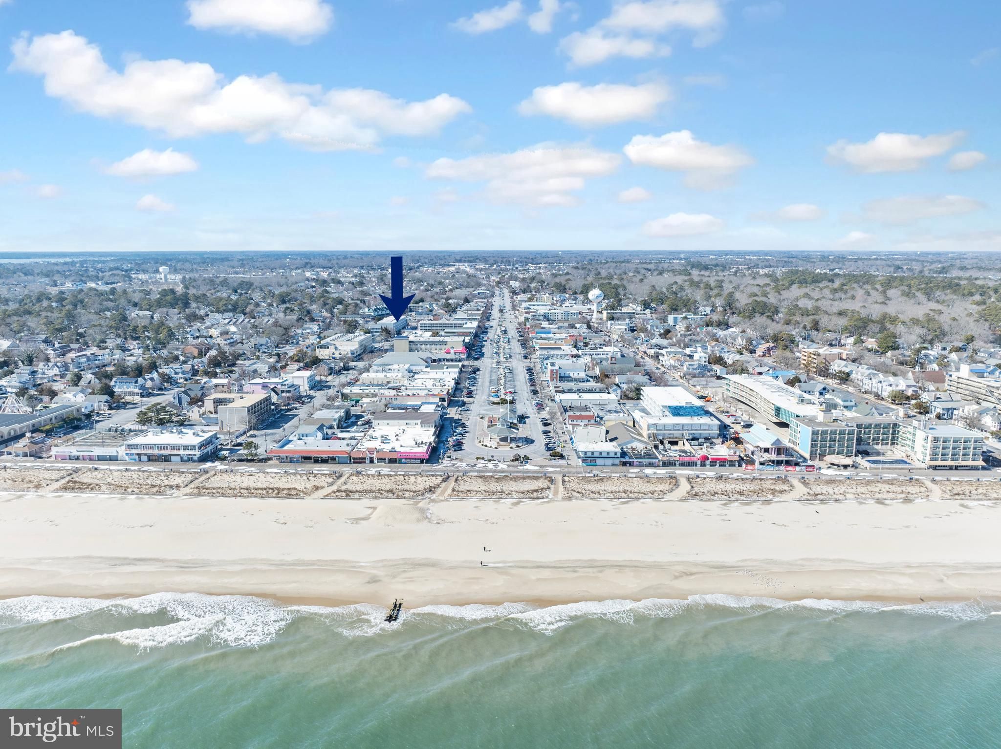 50 Wilmington Avenue 103