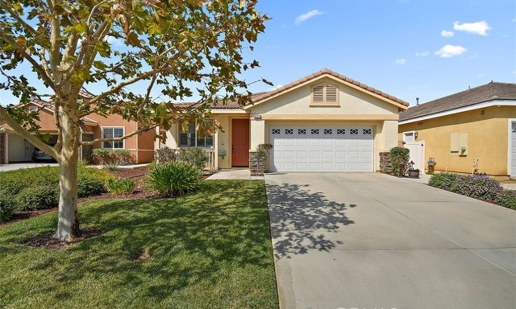 Orchid at Pacific Mayfield