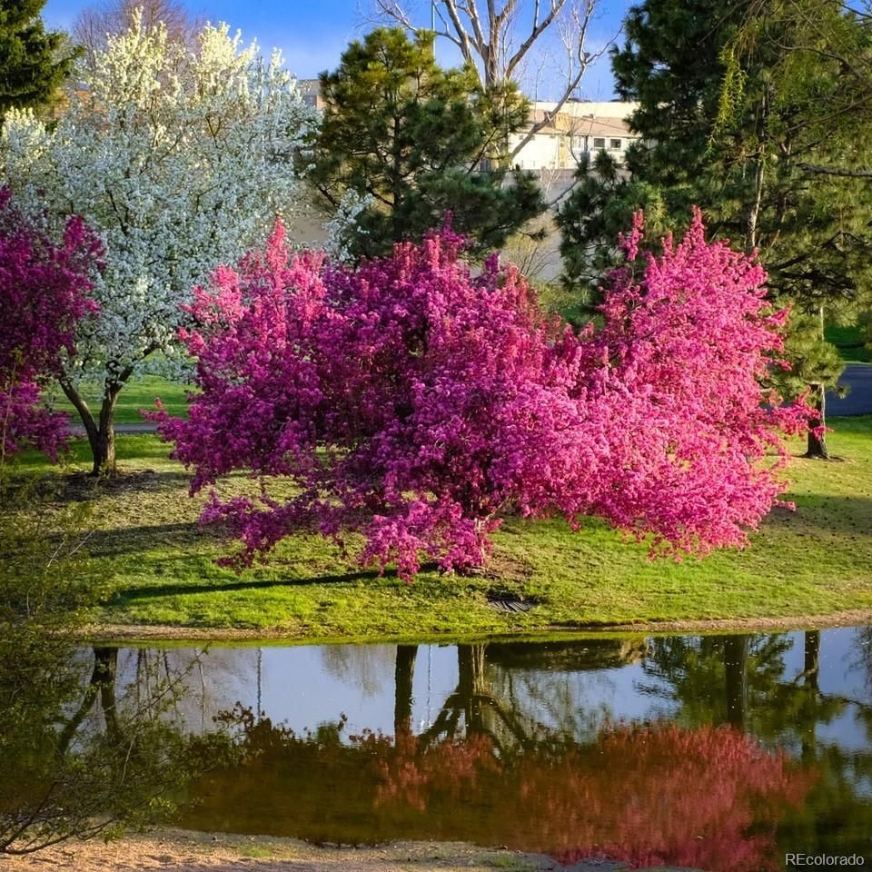 7000 E Quincy Avenue 217