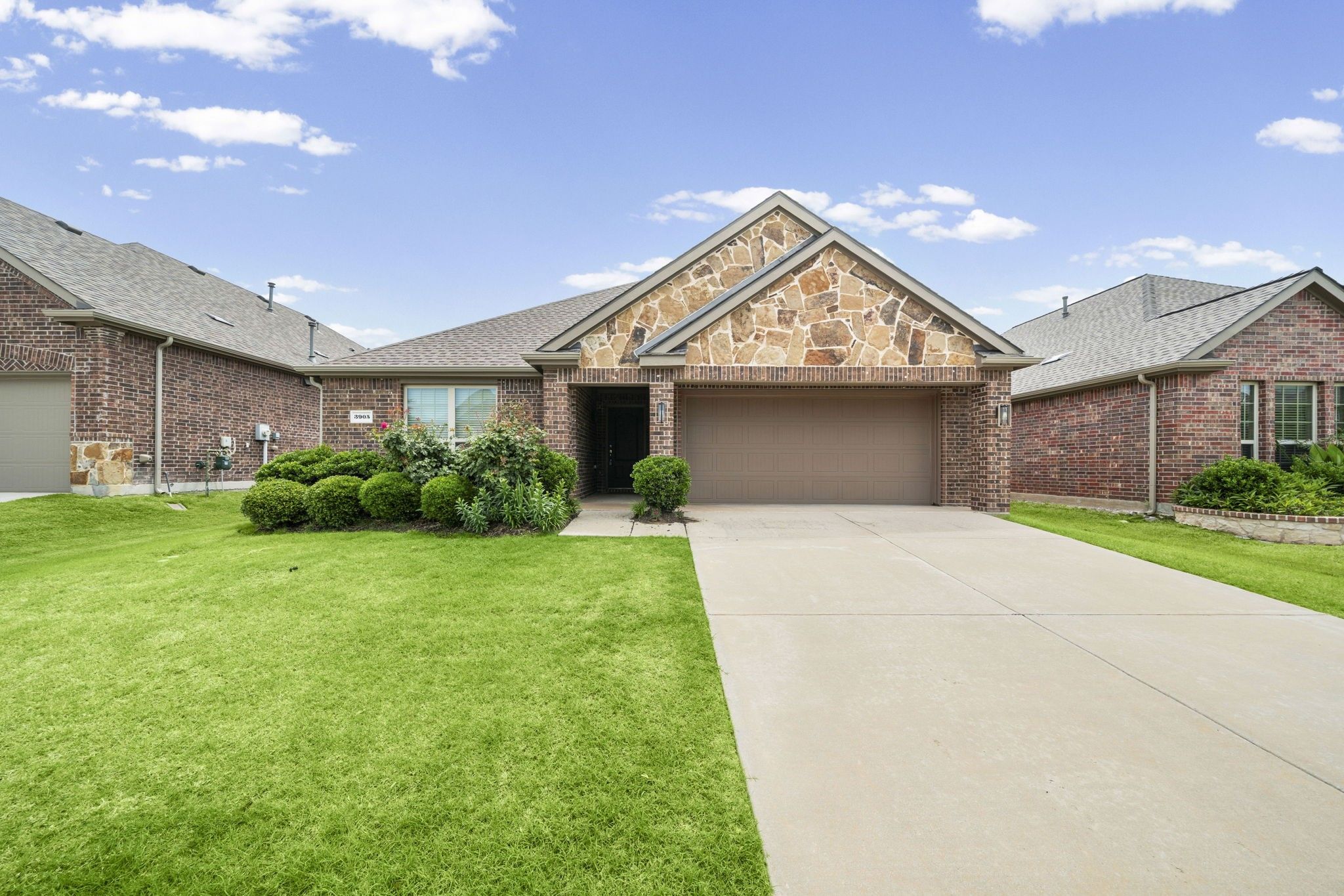 3905 Blessington Drive