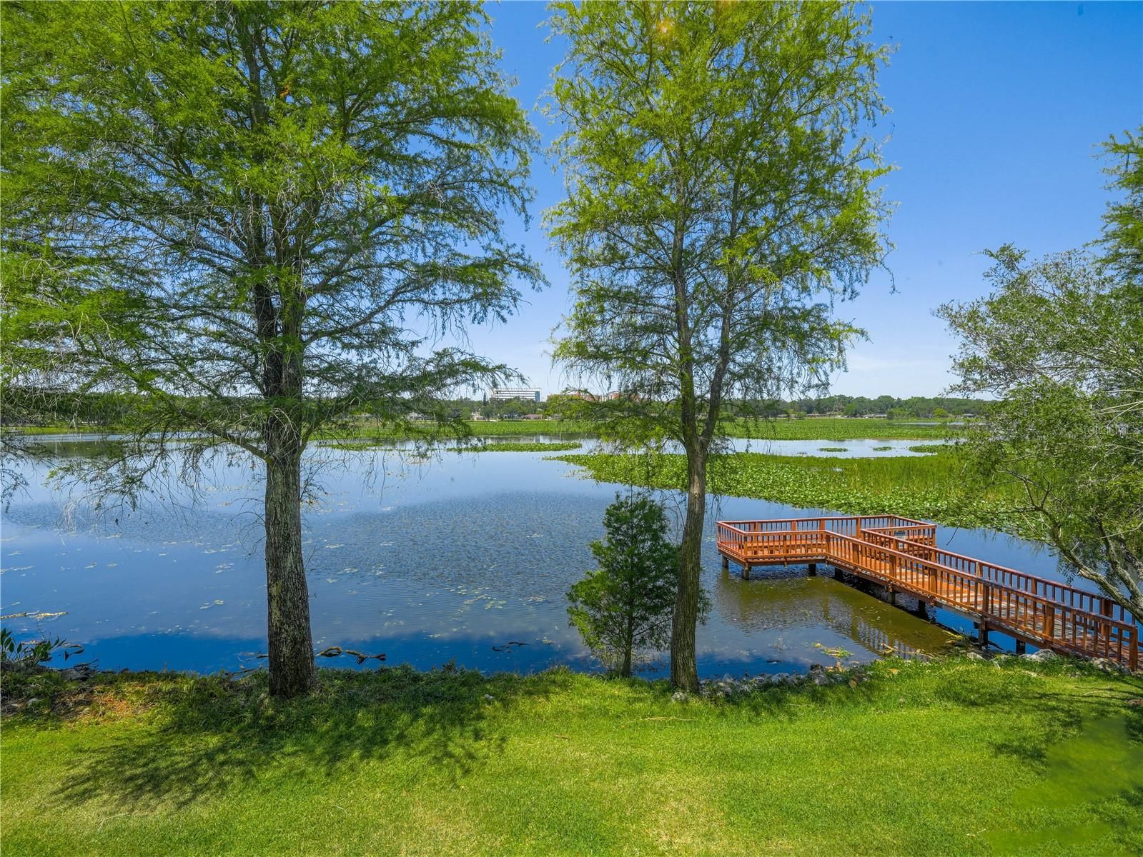 1130 N Lake Parker Avenue A206