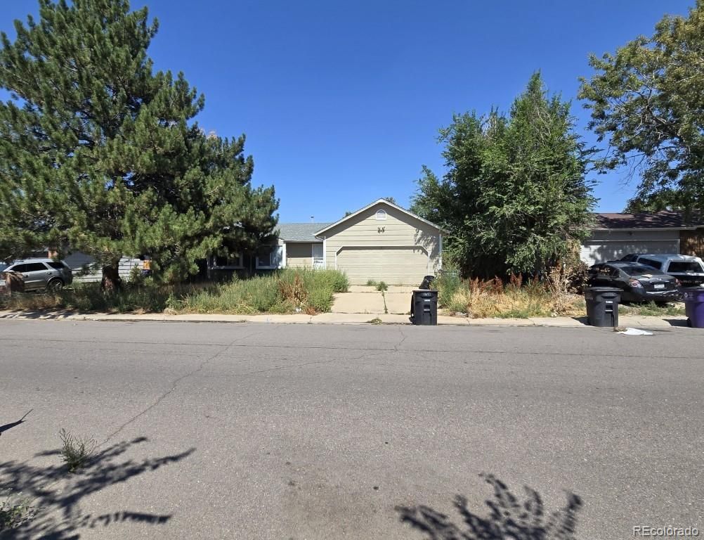 4482 Fairplay Way