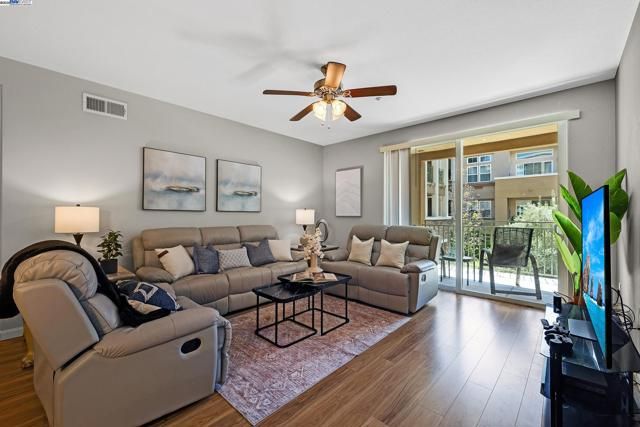 49002 Cinnamon Fern Cmn 311