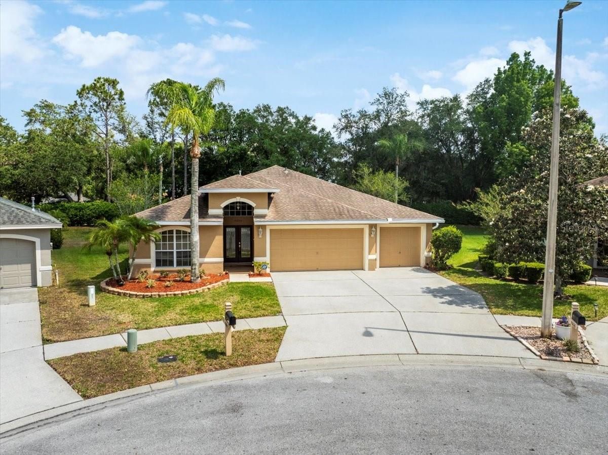 4604 Purple Tiger Court
