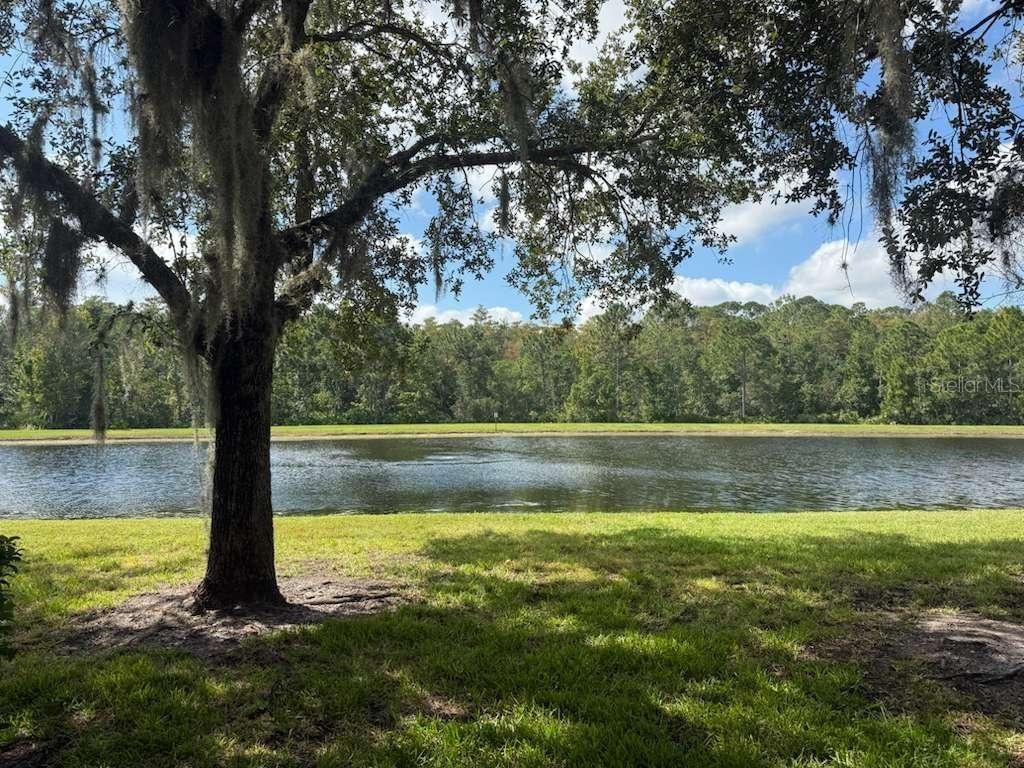 3460 Victoria Pines Drive 160