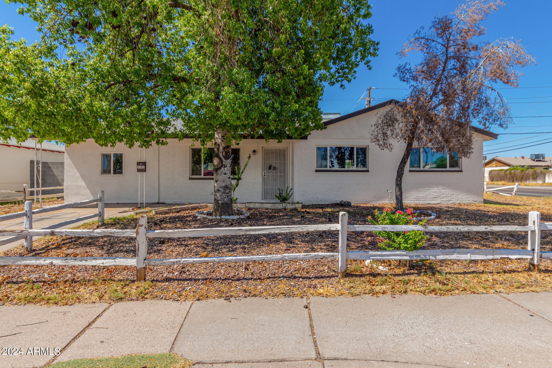 3102 W Cactus Road
