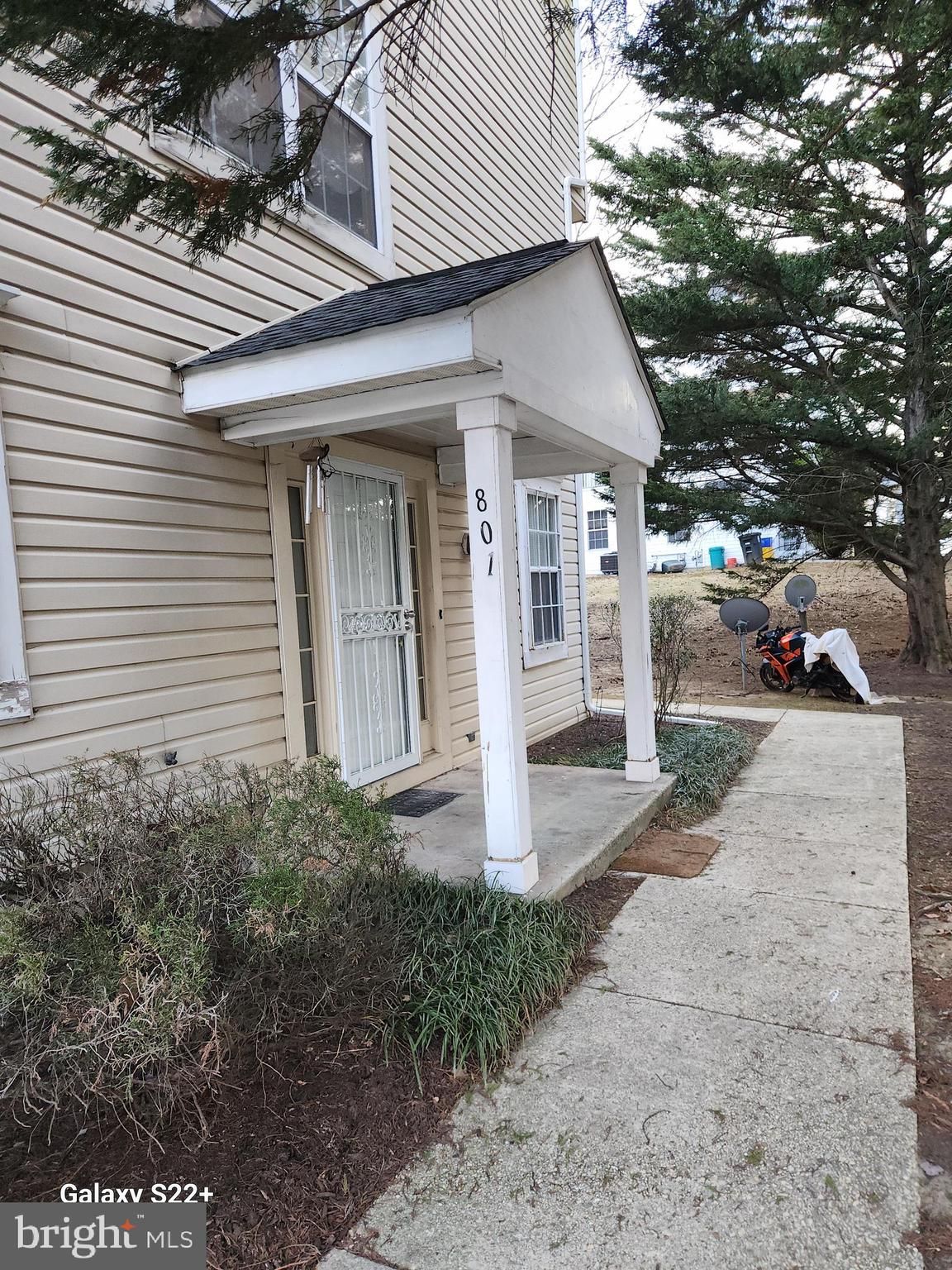 801 English Chestnut Drive 1