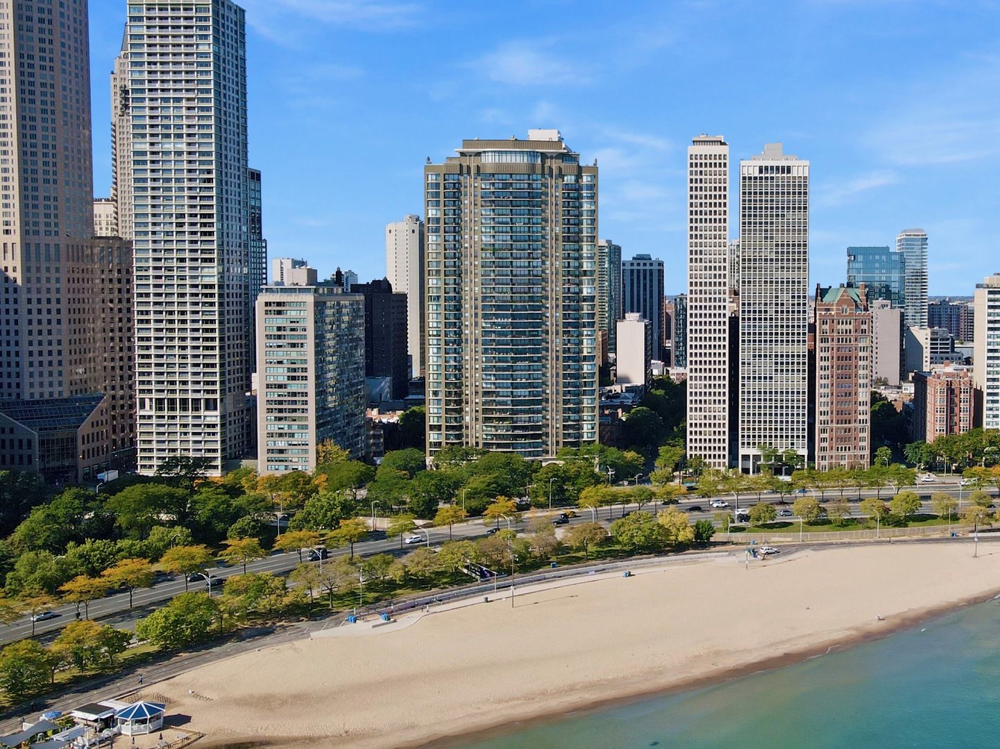 1040 N Lake Shore Drive 31A