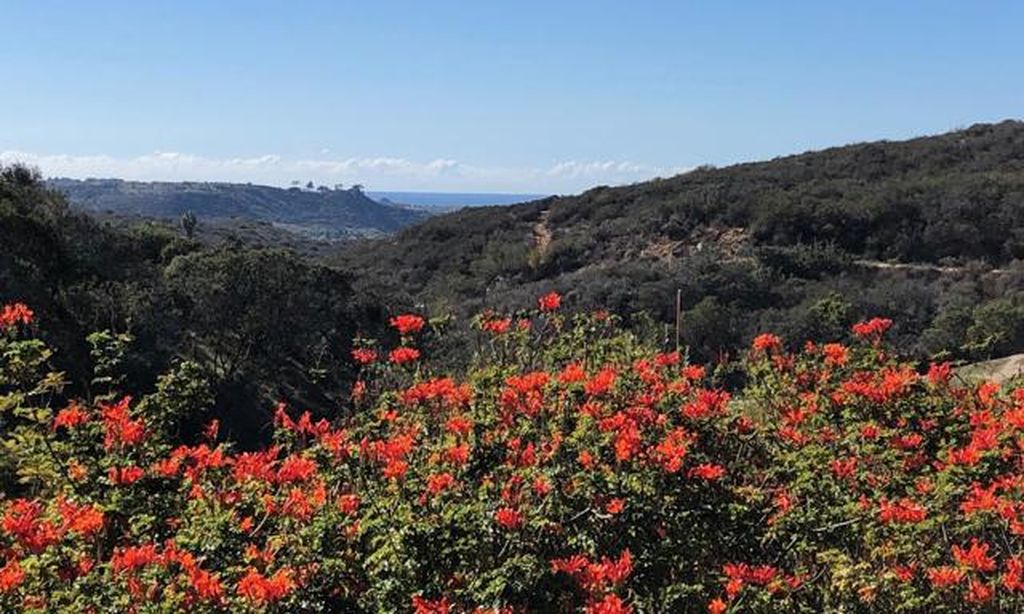 Ocean Hills Country Club