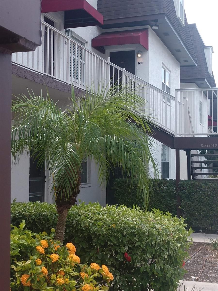 9009 Tudor Drive G210