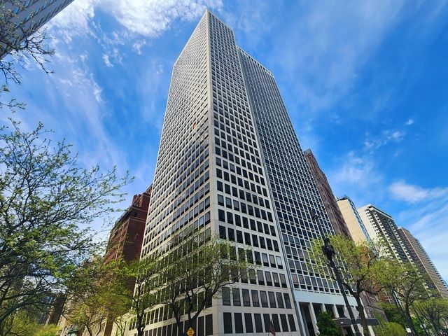 1100 N Lake Shore Drive 36B