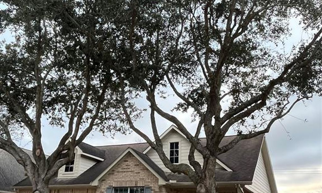 Bellavita at Green Tee