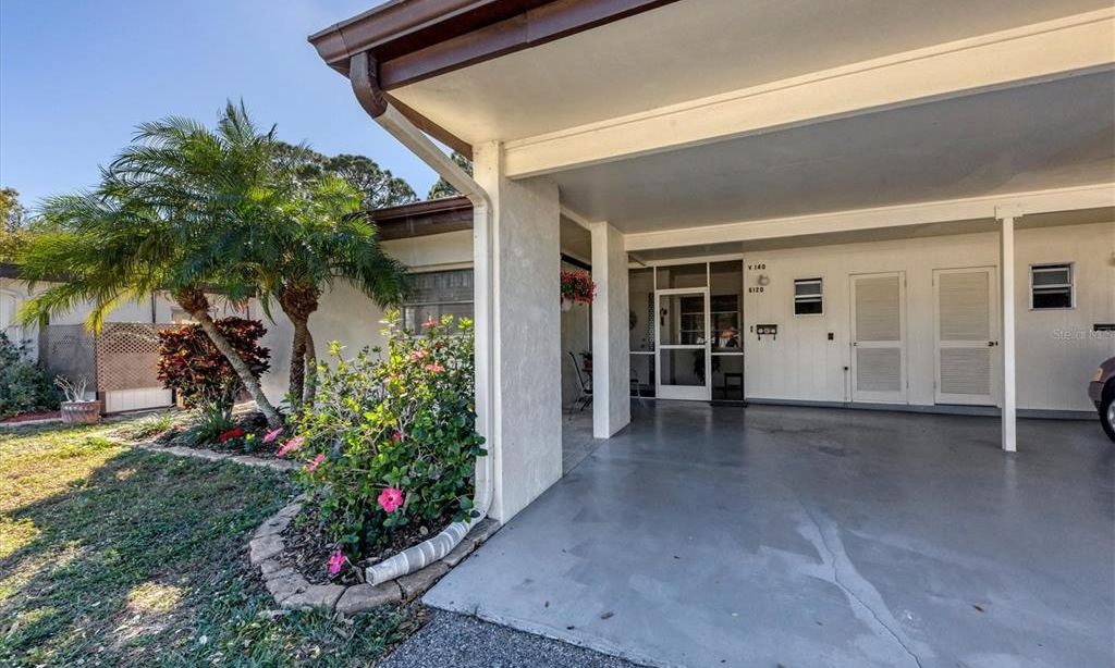 Village In The Pines