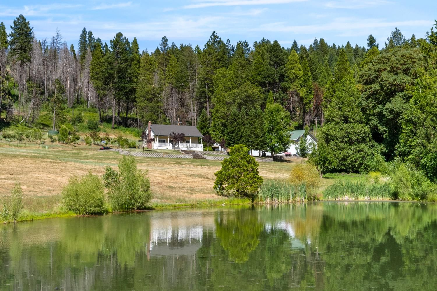 1237 Cable Road