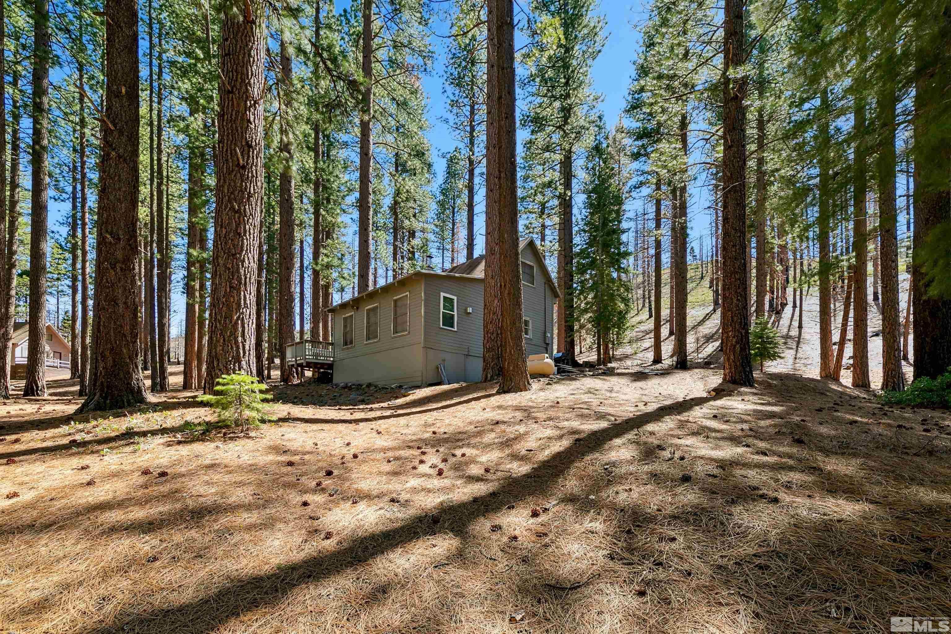 40 Shay Creek Road
