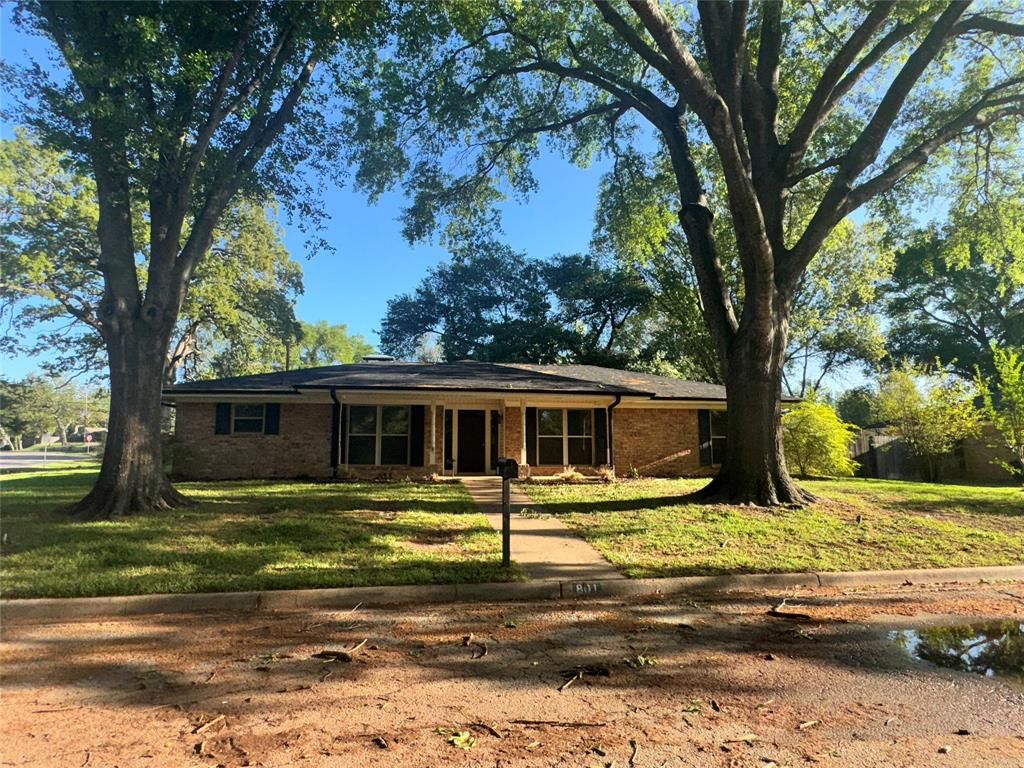 801 Shelby Lane