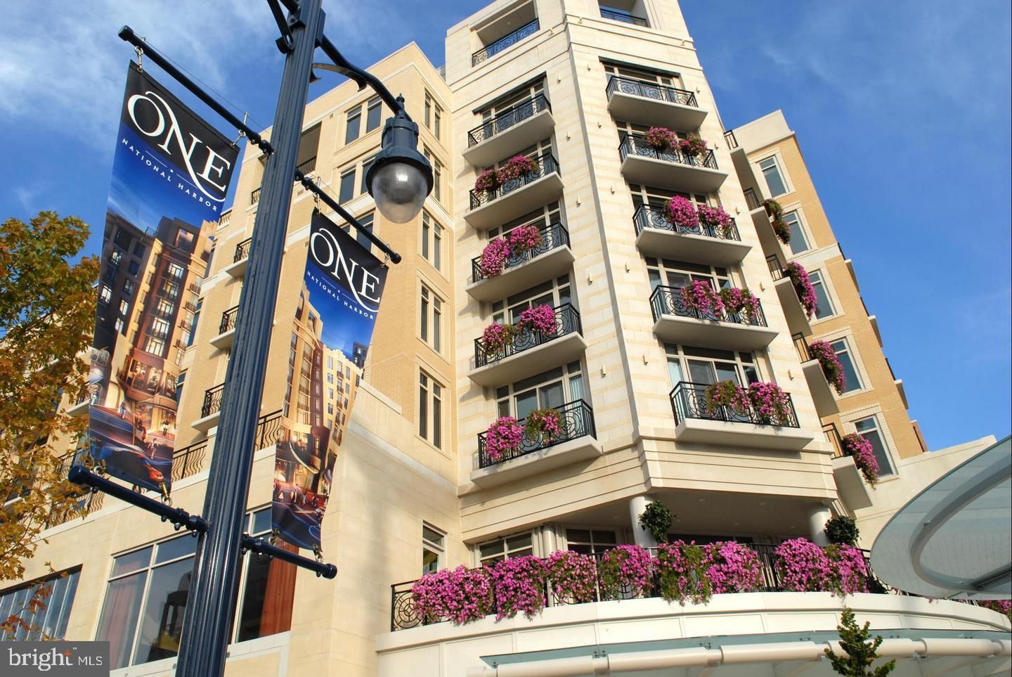 155 Potomac Passage 809
