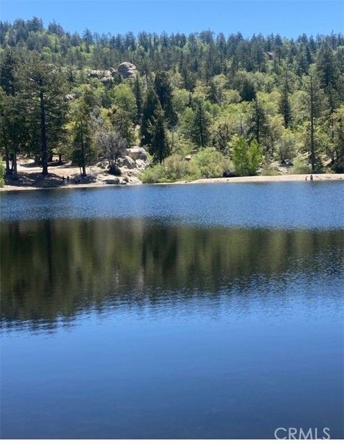 33303 Lake View Drive