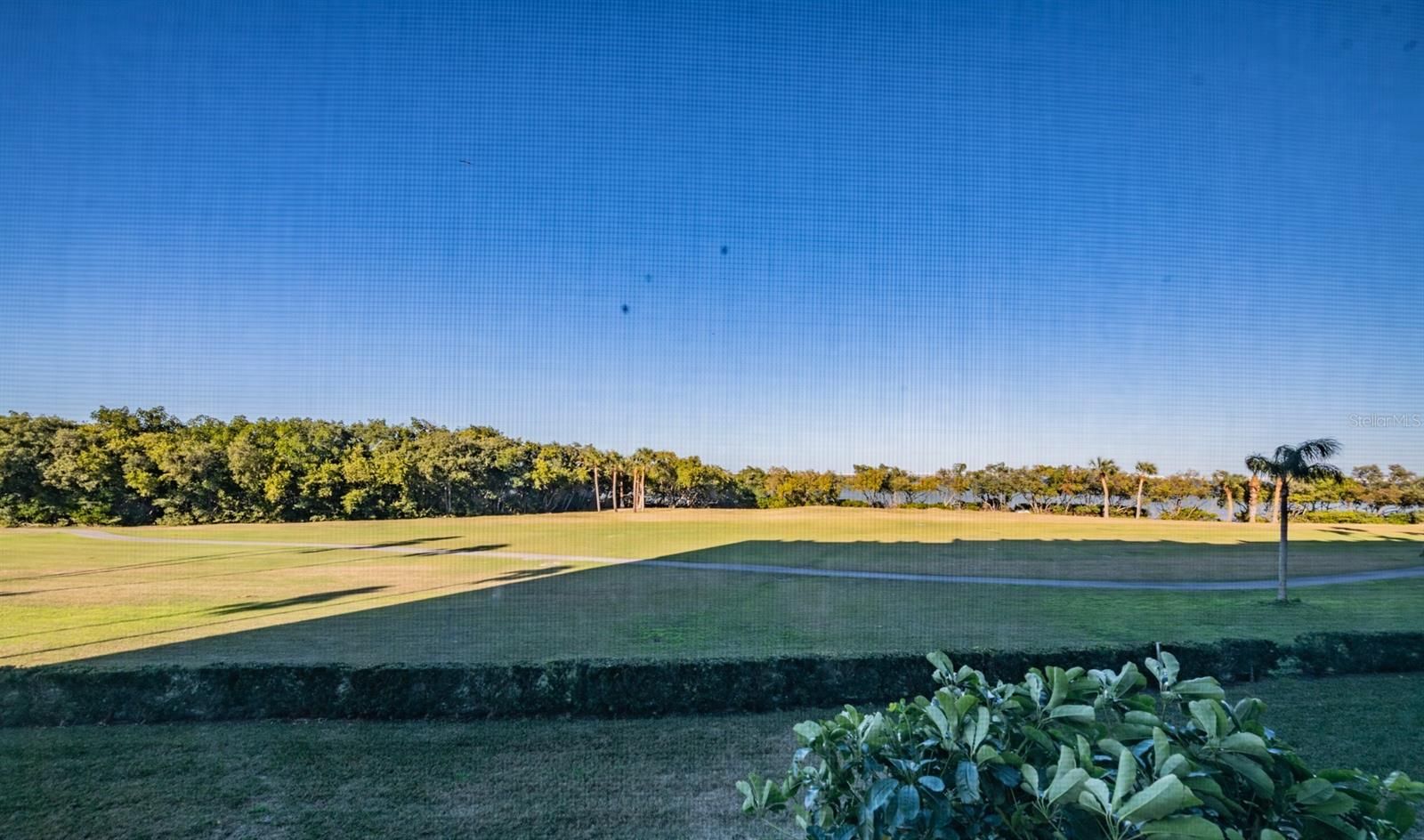 2618 Cove Cay Drive 204